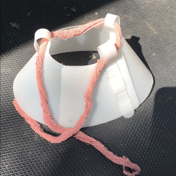 Cone for small dog or cat. - Picture 1 of 2